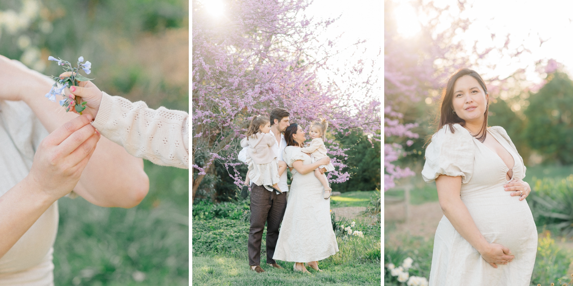 Family portraits in Norfolk Botanical Garden with blooming trees